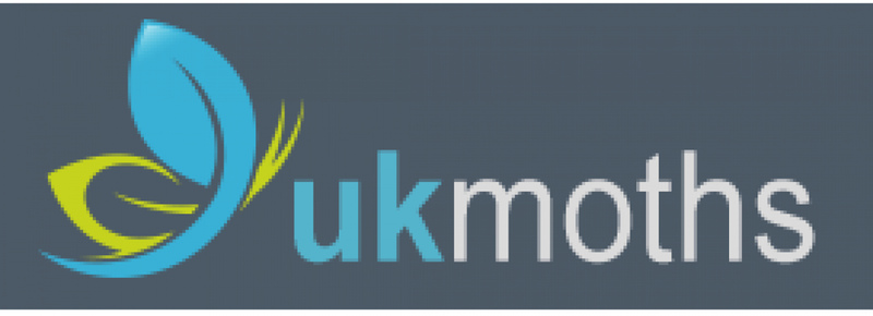 UKmoths