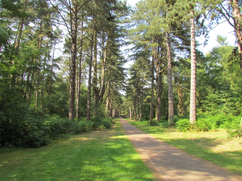 Sandringham CP