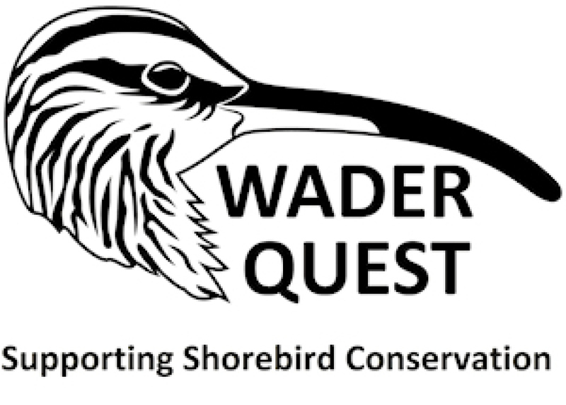 Wader Quest