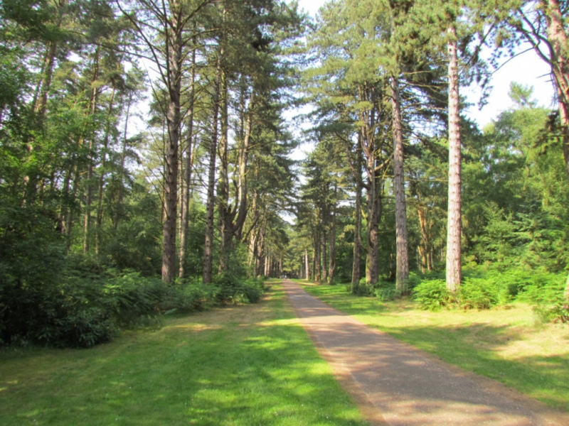 Sandringham CP