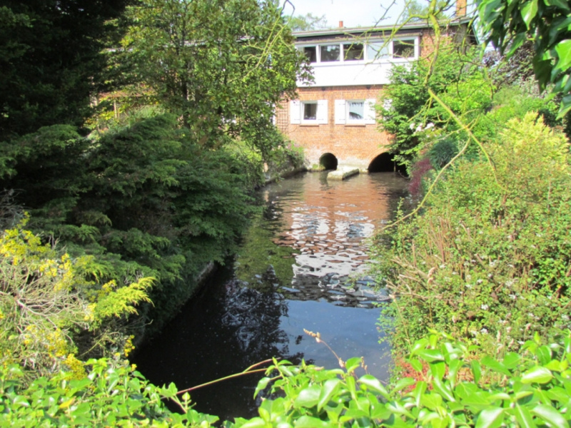 West Newton & River Babingley