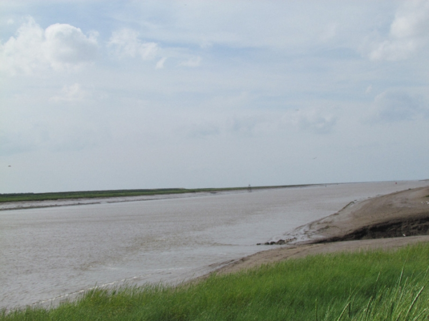 Lynn Point